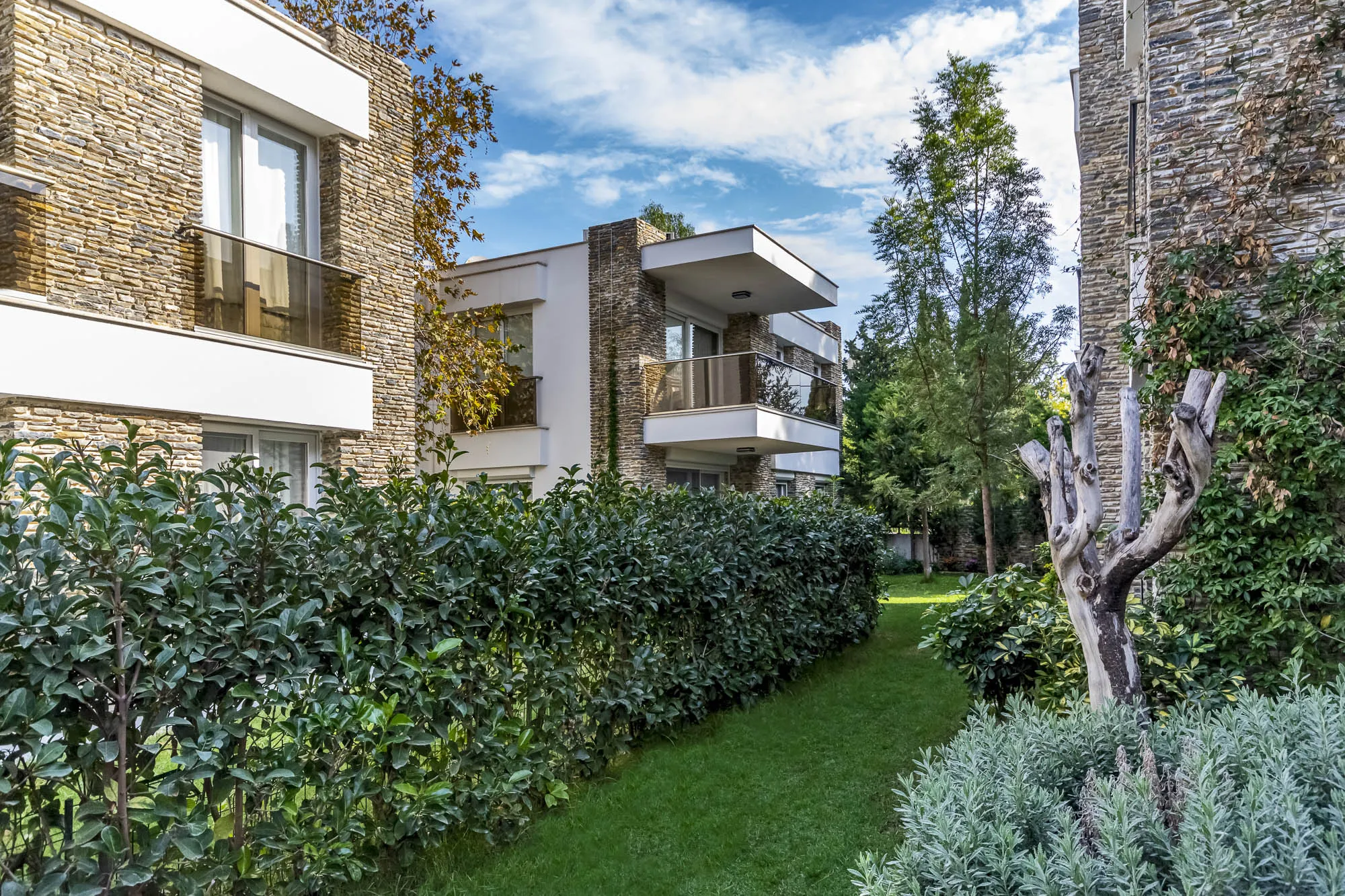 ZETUS ORTAKENT görsel 4